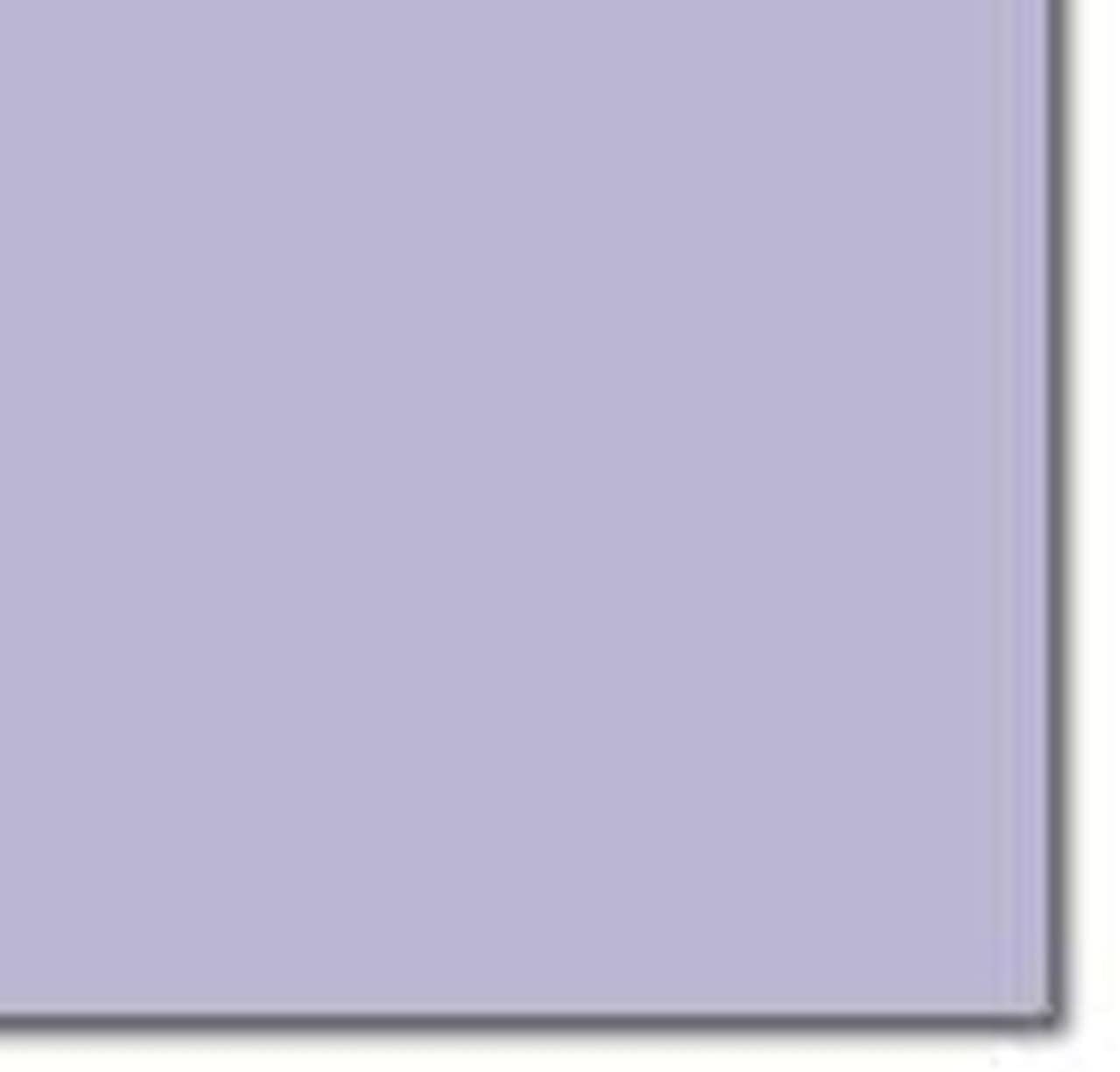 Image COLORACTION MID Lilac (Tundra) A4 210X297MM 160GM2/210MIC FSC4 x 250