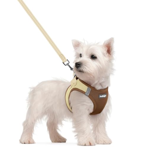 Image of rabbitgoo Dog Harness Small Sized and Leash Set, Step-in Puppy Pet Vest