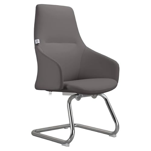 42.12 x 24.8 x 22.04 in. Celeste Series Guest Office Chair with Leather Grey