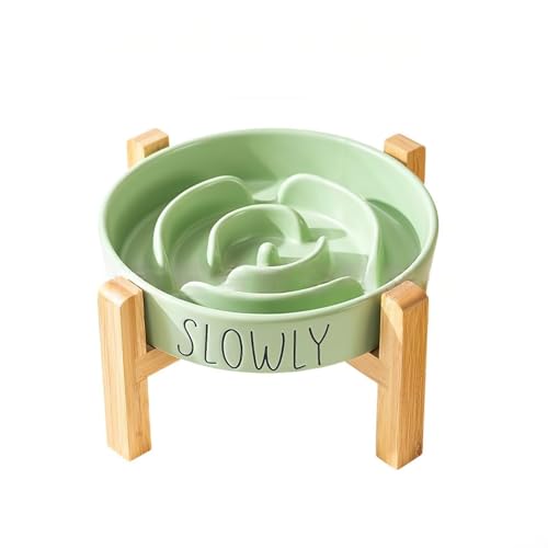 [FANISA] t[h{E  Hh~ H ^ ^ L  ybg M X[tB[_[ NǗ X^ht (CgO[,LTCYiX^htj)