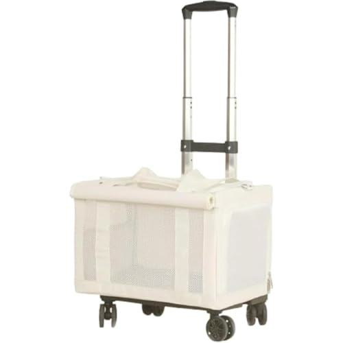 ConutooL L[obO ybgobO 傫 y 2Cp e ybgL[ LX^[t  ybg o  L 4 2C L L[P[X 萫 ʋC  ybgL[ bN e hCu s O 