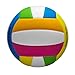 WILSON Pro Tour Indoor Volleyball - Multicolor, Official Size