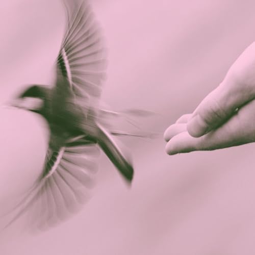 God Never Quits On His Child (phone recording - late night on the piano) God Never Quits On His Child (phone recording - late night on the piano)