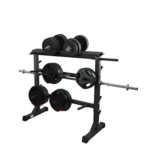 Fjoerdesports Hantelablage, Hantelscheibenständer für Langhantelstangen, Kurzhanteln, Hantelscheiben & Zubehör, bis zu 300 Kg belastbar, stabiler & robuster Stahl, schwarz (100 x 47 x 95 cm) Cover