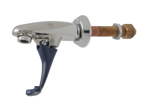 T&S Brass B-1202 Wall Mount Glass Filler with 3/8-Inch Npt Male Supply Nipple, Lock Nut and Adjustable Flange