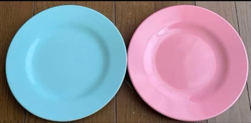 rice ���C�X �����~���v���[�g 20�Z���`×2�� ���a��20cm