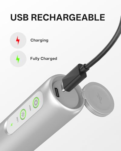 Image of CIRCLE JOY Rechargeable 2-Speed Milk Frother with Dual Spring Whisk, Electric Coffee Frother Handheld, Portable Mixer Wand for Protein Powder Matcha Lattes Cappuccino, Home Kitchen Gifts