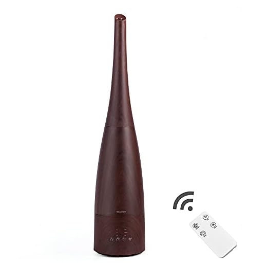 Cool Mist Humidifier with Remote Control