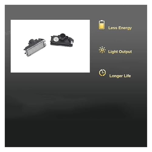 Luz matrícula LED soluciona fallos de iluminación trasera en Dodge Viper 5