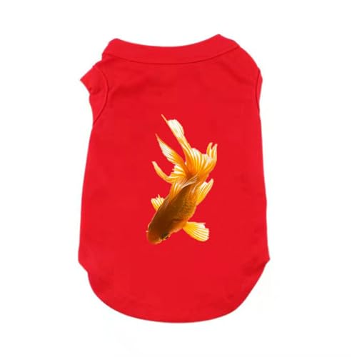 [QINTIW] L L̕ bh LbgEFA lREFA lR ybgm j̎q ̎q Mtgv[g L ₷  ^ m h~ ybgEFA 킢  p m