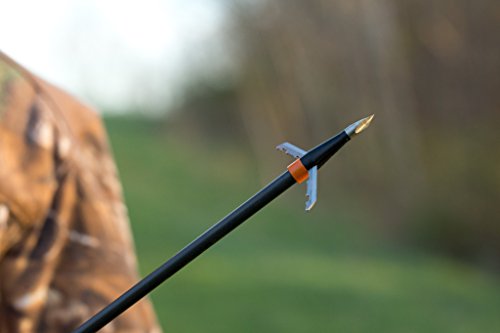 Jak-Knife 125Gr. By Wasp Archery #TOP5