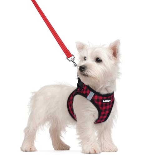 Image of rabbitgoo Dog Harness Small Sized and Leash Set, Step-in Puppy Pet Vest