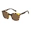 Havana/Polarized Copper