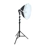 LINCO Lincostore Studio Round Lighting LED Bulb 15 inch Portrait Light Modern Style with Diffuser (Single Light) AM264