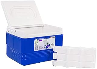 SQ Pro Ice Chest Cooler Box Camping Picnic Insulated Food Container (Blue, 6L)