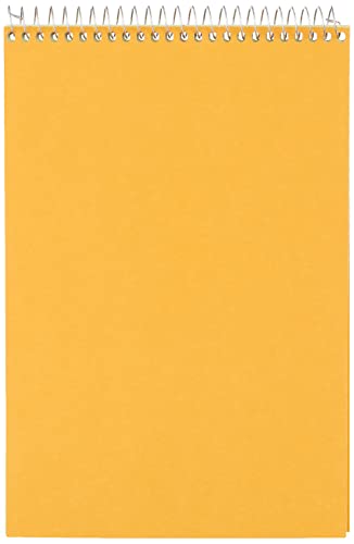 National Brand Steno Notebook With Brown Board Cover, Green Eye-Ease Paper, Gregg Ruled, 6" X 9", 12 Notebooks With 60 Sheets Each (36646-12) #TOP1