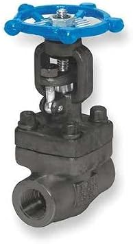 Gate Valve, Class 800, 2 In.