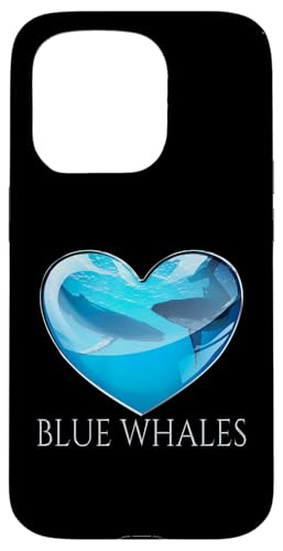 ViKXNW n[g I[Vu X}zP[X iPhone 15 Pro p