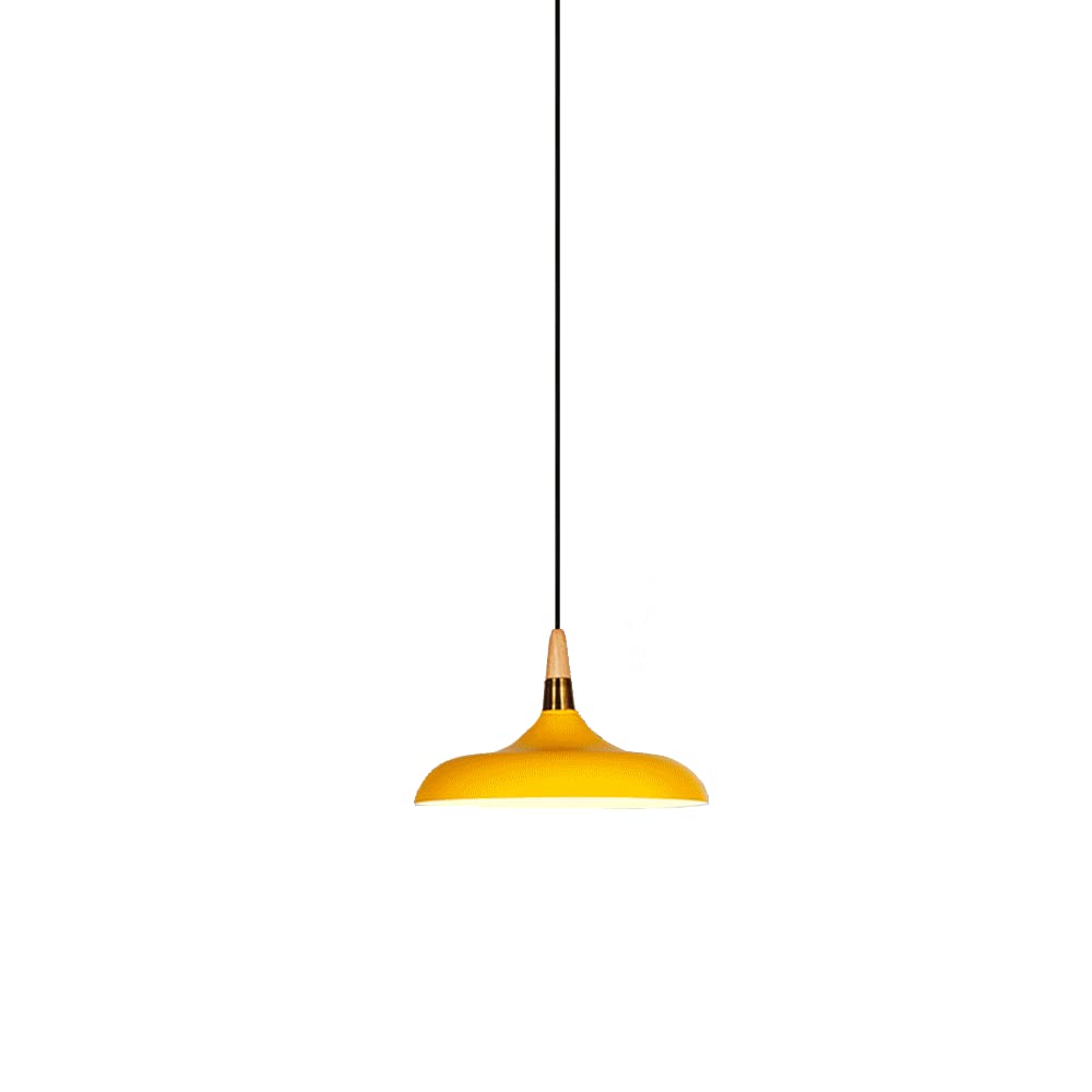 Lustre minimaliste industriel avec hauteur réglable pour illuminer votre salon