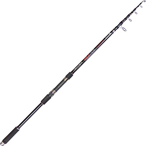 Garbolino Canne TELESCOPIQUE Wild Pike Exceed - NC, 360, 7, NC, 60-120