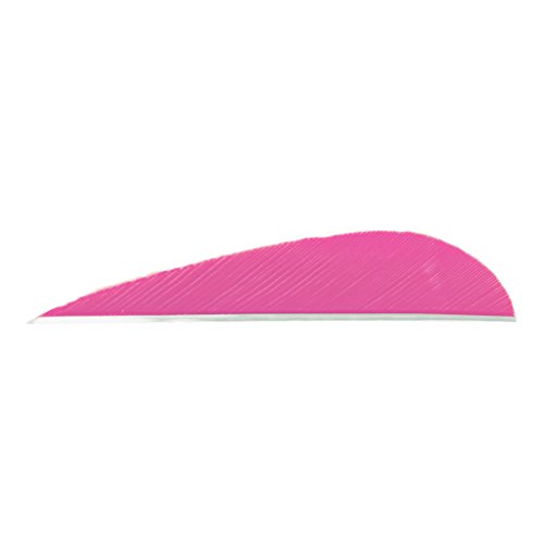 TRUEFLIGHT Feathers PARABOLIC Solid Color 3 LW Pink 100/PK.