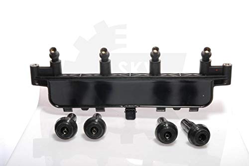 ESEN SKV Bobine d'allumage 03SKV019