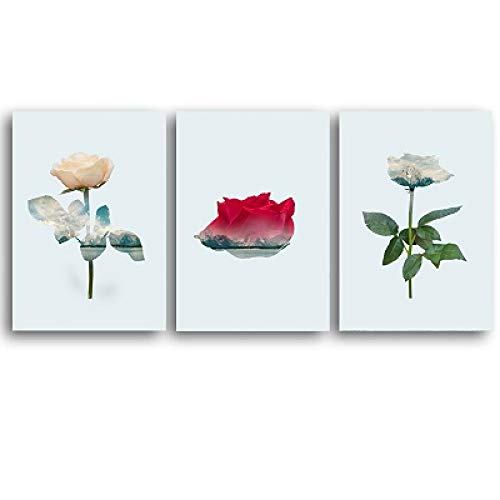 Cuadros de flores nórdicas para salones con paredes vacías pack de 3 lienzos 40x60cm