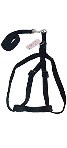 See full amazon price history chart for Furry Angels Adjustable and Padded Nylon Harness with Leash for Dogs / Cats - Large Width - 1 Inch Color - Black Furry Angels Adjustable and Padded Nylon Harness with Leash for Dogs / Cats - Large Width - 1 Inch Color - Black (B08DF3ZXCX) Amazon Price History, Amazon Price Tracker