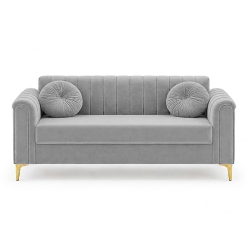 Image of FURNY Dorino 2 Seater Fabric Sofa Set (Light Grey) Premium Velvet Finish Durable & Comfortable Ideal for Living Room