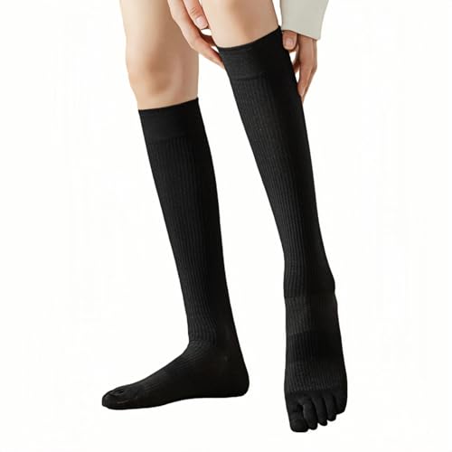 [YOUMMY] CfB[X 5{w\bNX ~ X|[c RۏL z ʋC nC\bNX iK\bNX ₦΍ r h n ʊw ʋ [΍  v[g(ubN)