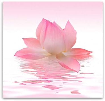 Glass Wall Art Startonight - Acrylic Decor Pink Petals, Flowers Artwork 24" x 24"