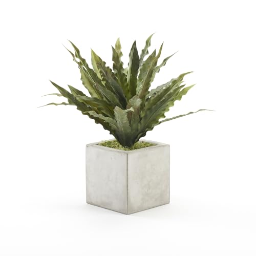 D&W Silks Frosted Green Birdnest Bush in Grey Newport Cube