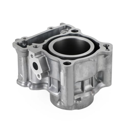 Pistón de cilindro X-Max 300 CZD300A kit de reconstrucción 2017 4