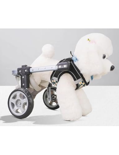 Silla de ruedas para perros de dos ruedas que optimiza la recuperación de lesiones