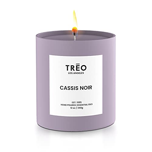 TREO Large Luxury Scented Candles for Bath or Home Decor | Perfect Soy Candle for Relaxation & Aromatherapy | High Intensity Scents with Essential Oil | Smoke-Free, Long Lasting, Gift Idea