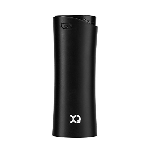 Preisvergleich Produktbild XQISIT Power Bank 2600 mAh schwarz
