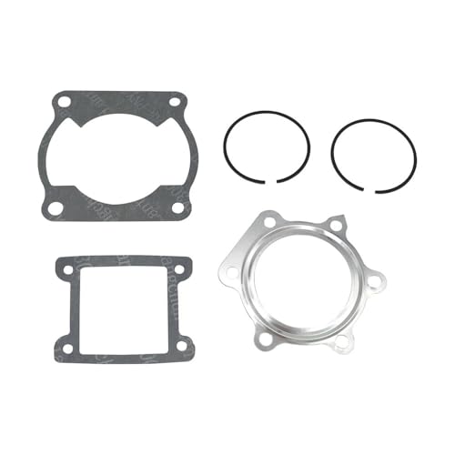 Kit cylindre piston 66 mm résout perte compression YFS200 - 5
