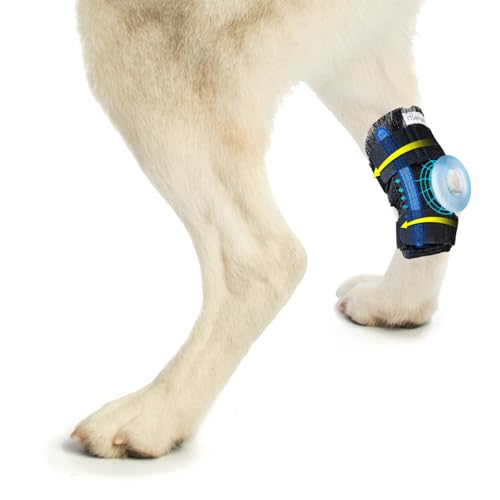 Image of Dog Leg Brace, Single Rear Hock & Ankle Support, Canine Hind Leg Compression Wrap for Torn ACL /CCL, Injury & Sprain Protection, Wound Care, and Joint Stability, Right Leg, Size M (1 Pack)