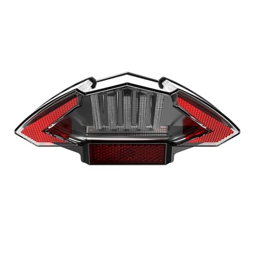 Piloto trasero luces de freno y DRL de moto para F650 GS R1200GS F800 Dakar ST