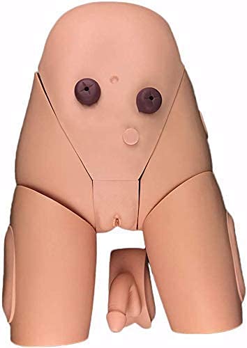 Modèle Simulateur Cathétérisme Homme Femme Ensemble Formateurs Cathétérisme Hommes Et Femmes