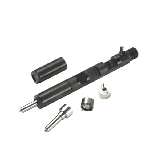 Inyector EJBR04701D común diésel repara pérdida de potencia en Ssangyong Kyron A6640170221 1