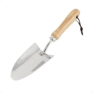 Rekord plantentroffel (roestvrij staal) getande rand, houten handvat en ophanggat werkbreedte 8 cm, tuinkoffel, bloemenkel, plantenschep, bloemenschep, handschep