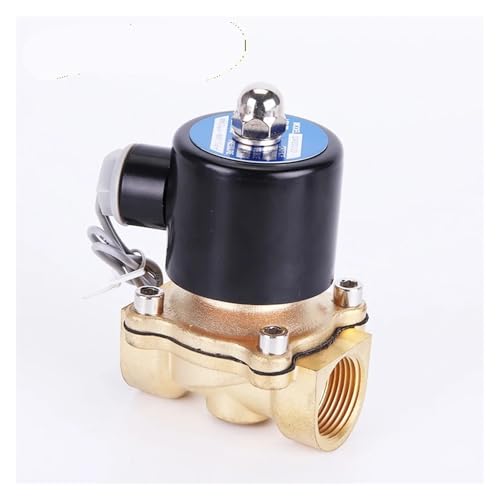 Électrovanne laiton 220V DN20 électrovanne eau air huile 2W200-20