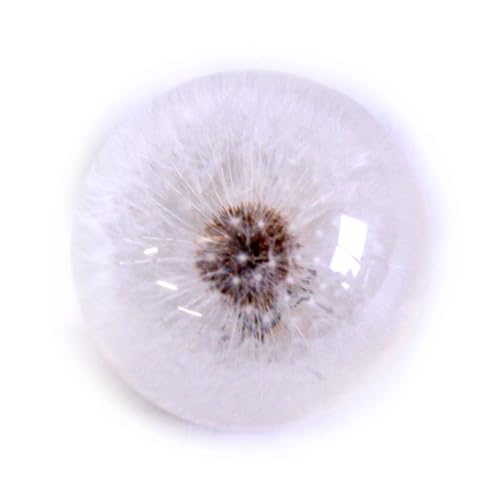 REALBUG 2.5\" Real Dandelion Globe