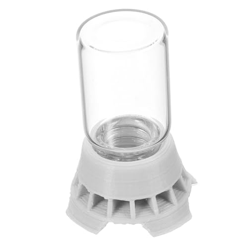 UPKOCH Ant Water Feeder for Small Ants and Dispenser Easy to Use Water Cup and Feeder
