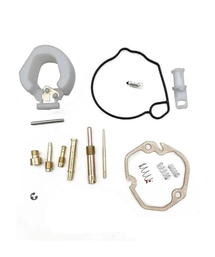 Carburador para Suzuki AG50 AG60 AG100 V100 con kit de reparación de junta y flotador