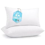 Flowen Coussin Canape 30x50 Lot de 2 Oreillers Decoratif Accessoires pour Sofa Decoration ...