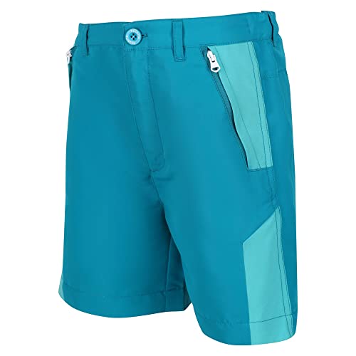 Regatta Sorcer MountShtII Pants, Light