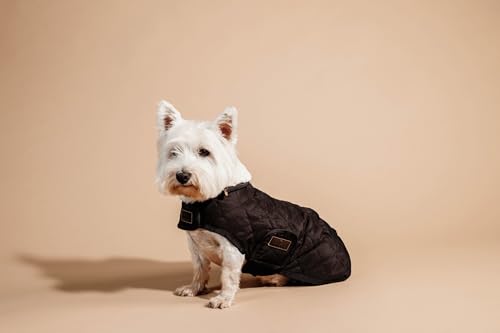 Kentucky Hundemantel - Braun - XXS