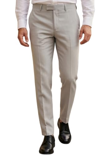 Image of Louis Philippe Men's Regular Fit Fashionable Pleated Trouser Work Ready Solid Formal Trouser
